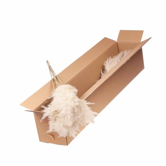 HUIS EN TUINDECO H% Cortaderia Plum 115cm malenkiy 5pc Sb Natural